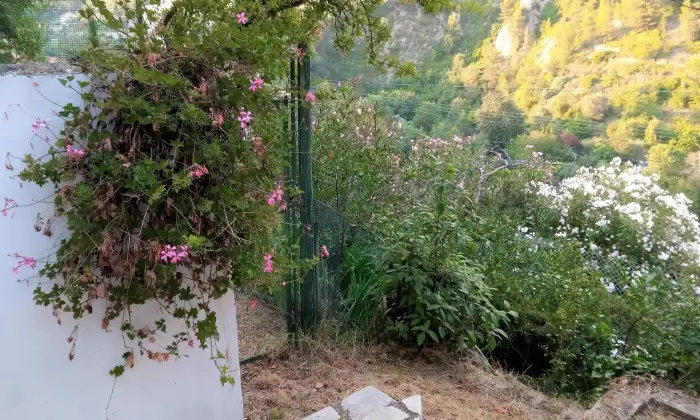Rexer-Sanremo-Casa-indipendente-vista-mare-ristrutturata-con-tre-appartamenti-grande-giardino-garage-SALONE