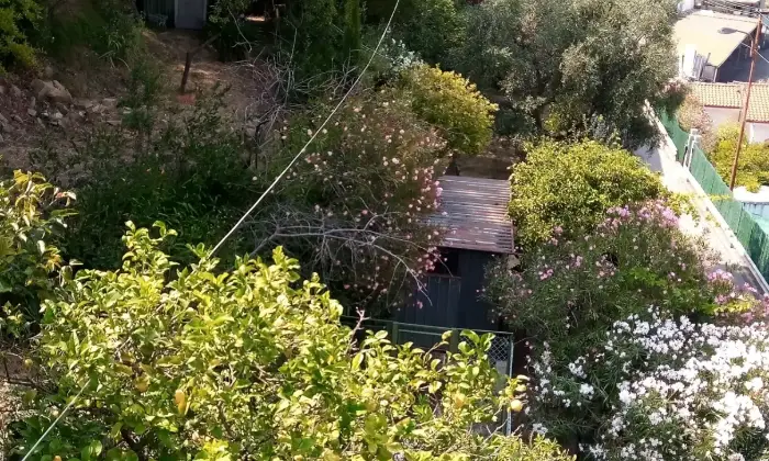 Rexer-Sanremo-Casa-indipendente-vista-mare-ristrutturata-con-tre-appartamenti-grande-giardino-garage-GIARDINO