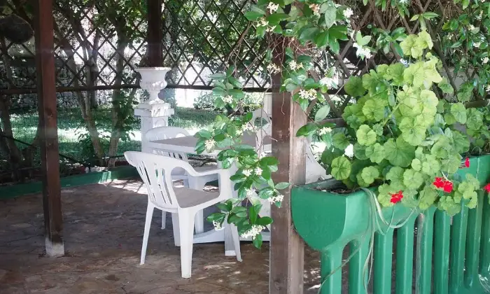 Rexer-Turi-AFFARE-IMMOBILIARE-Giardino