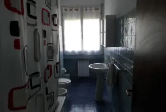Rexer-Urbino-Urbino-zona-ospedale-condomini-pineta-BAGNO