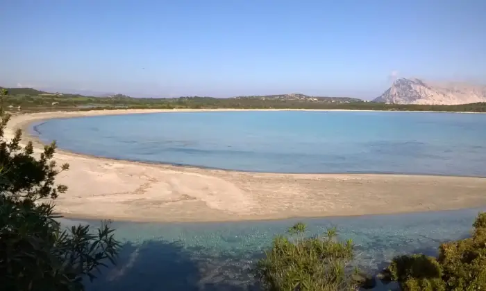 Rexer-San-Teodoro-Appartamento-vacanza-ALTRO