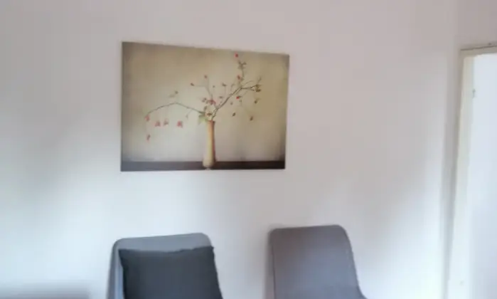 Rexer-Urbino-Stanze-doppie-in-bellissimo-appartamento-SALONE