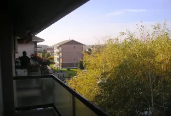 Rexer-Pavia-Con-due-grandi-stanze-fermata-linea-tre-antistante-ALTRO