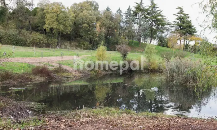 Rexer-Lonato-del-Garda-Villa-vista-lago-con-piscina-e-uliveto-Desenzano-del-Garda-PARCO