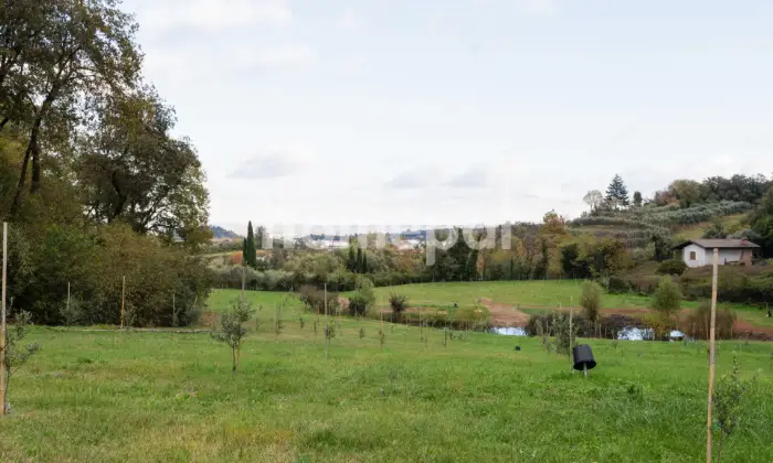 Rexer-Lonato-del-Garda-Villa-vista-lago-con-piscina-e-uliveto-Desenzano-del-Garda-PARCO