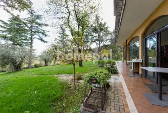 Rexer-Lonato-del-Garda-Villa-vista-lago-con-piscina-e-uliveto-Desenzano-del-Garda-GIARDINO