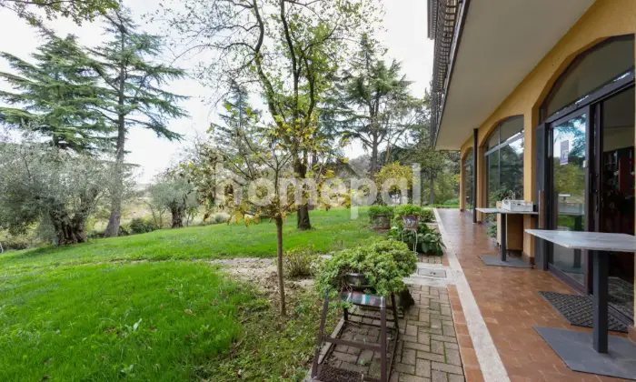 Rexer-Lonato-del-Garda-Villa-vista-lago-con-piscina-e-uliveto-Desenzano-del-Garda-GIARDINO