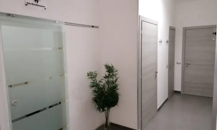 Rexer-Roma-AFFITTO-STANZE-STUDIO-MEDICO-ALTRO