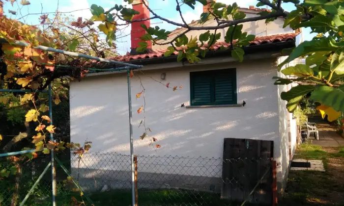 Rexer-Subbiano-Silenzio-e-natura-ALTRO