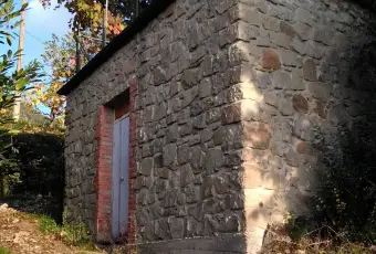 Rexer-Subbiano-Silenzio-e-natura-CANTINA