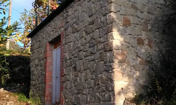 Rexer-Subbiano-Silenzio-e-natura-CANTINA