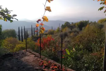Rexer-Subbiano-Silenzio-e-natura-TERRAZZO