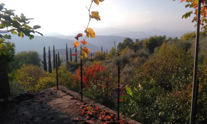 Rexer-Subbiano-Silenzio-e-natura-TERRAZZO