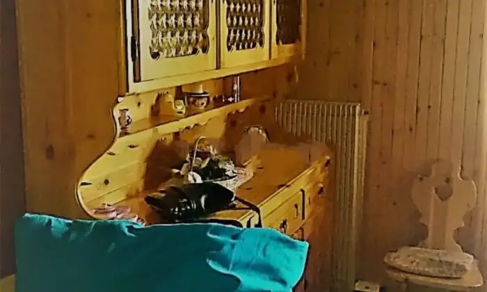 Rexer-Pizzoferrato-Bilocale-in-vendita-in-Valle-del-Sole-frazione-di-Pizzoferrato-CH-Via-delle-Camelie-SALONE