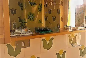 Rexer-Pizzoferrato-Bilocale-in-vendita-in-Valle-del-Sole-frazione-di-Pizzoferrato-CH-Via-delle-Camelie-BAGNO