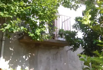 Rexer-Maierato-Maierato-Vibo-Valentia-Vendesi-terreno-edificabile-con-rustico-ALTRO