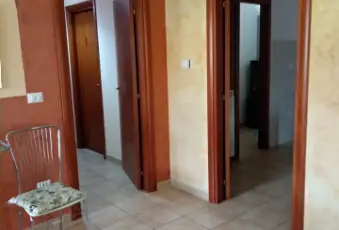 Rexer-Catanzaro-Tre-camere-disponibili-su-per-studenti-e-tirocinanti-SALONE