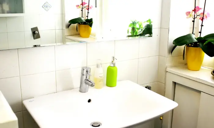 Rexer-Torino-Charming-Flat-Albero-della-Fortuna-BAGNO