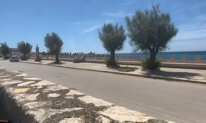 Rexer-TRAPANI-Nuda-propriet-di-mq-in-Frazione-Casa-Santa-TP-ALTRO