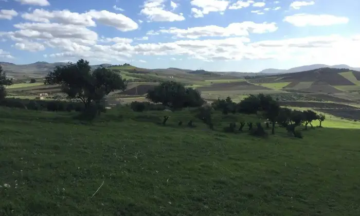 Rexer-Trapani-Casale-Strada-Comunale-Serro-Trapani-ALTRO