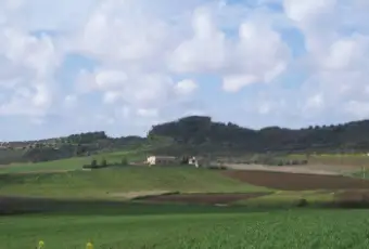 Rexer-Trapani-Casale-Strada-Comunale-Serro-Trapani-ALTRO