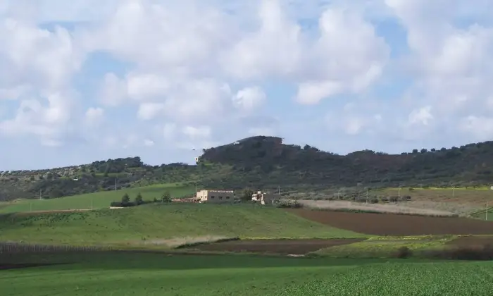 Rexer-Trapani-Casale-Strada-Comunale-Serro-Trapani-ALTRO