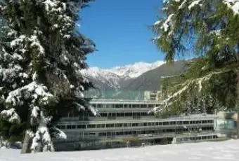Rexer-Mezzana-Marilleva-Bilocale-posti-letto-GIARDINO