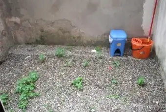 Rexer-Livorno-Affitto-negozio-zona-porta-a-mare-Livorno-GIARDINO