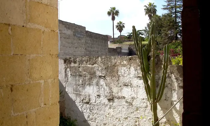 Rexer-Sava-Casa-indipendente-nel-centro-storico-GIARDINO