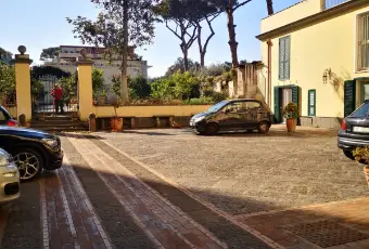 Rexer-San-Giorgio-a-Cremano-Studio-Professionale-FITTASI-GIARDINO