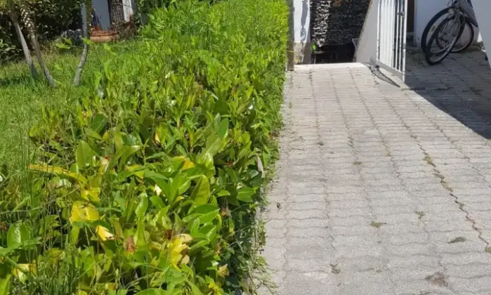 Rexer-Santa-Marina-Breve-Lungo-Periodo-GIARDINO