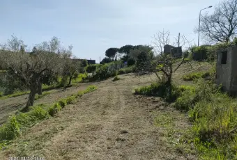 Rexer-Centola-Cilento-ruderi-in-vendita-SALONE