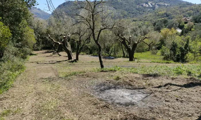 Rexer-Centola-Cilento-ruderi-in-vendita
