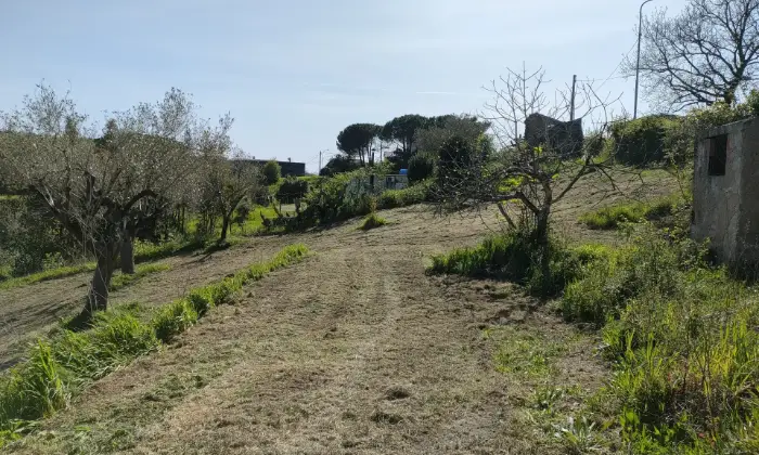 Rexer-Centola-Cilento-ruderi-in-vendita-SALONE