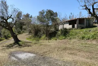 Rexer-Centola-Cilento-ruderi-in-vendita-SALONE