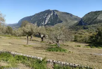 Rexer-Centola-Cilento-ruderi-in-vendita-SALONE