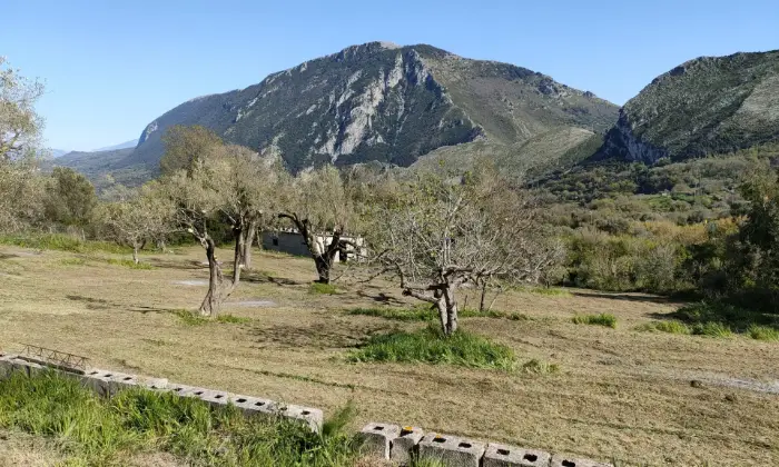 Rexer-Centola-Cilento-ruderi-in-vendita-SALONE