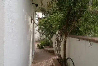 Rexer-Sellia-Marina-Villetta-a-pochi-passi-dal-mare-GIARDINO