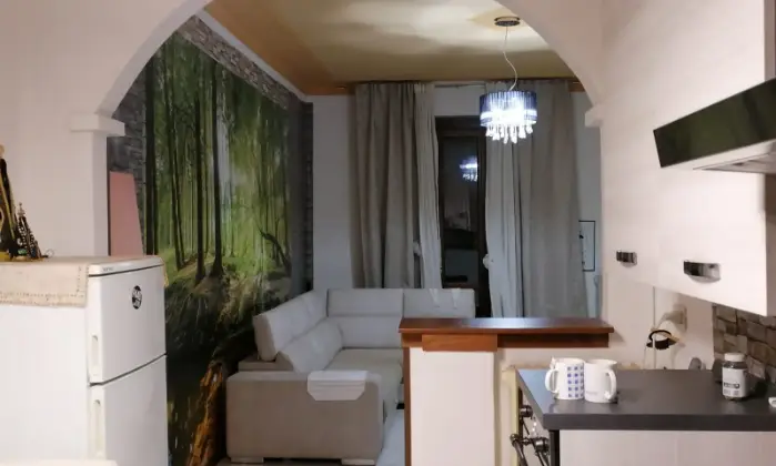 Rexer-Cremona-APARTAMENTO-BELLISSIMO-ARREDATO-SALONE