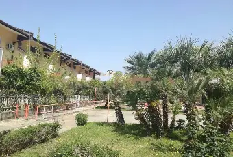 Rexer-Falconara-albanese-Appartamento-buono-stato-primo-piano-Falconara-Albanese-SALONE