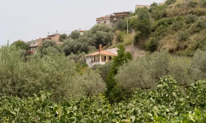 Rexer-SantAgata-di-Militello-Villetta-con-corte-esterna-e-uliveto-ALTRO