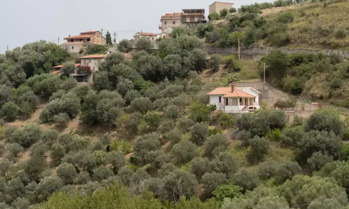 Rexer-SantAgata-di-Militello-Villetta-con-corte-esterna-e-uliveto-ALTRO