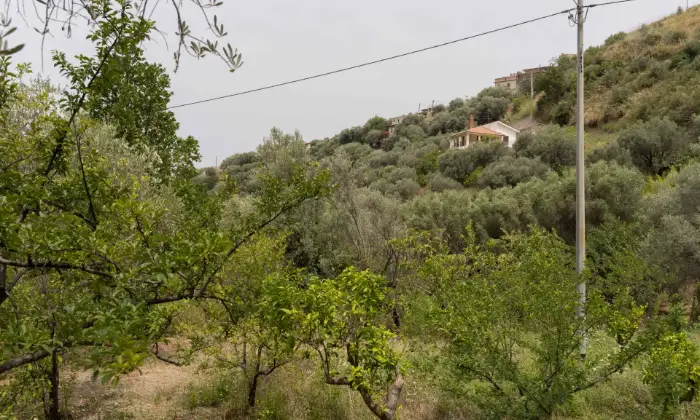 Rexer-SantAgata-di-Militello-Villetta-con-corte-esterna-e-uliveto-ALTRO