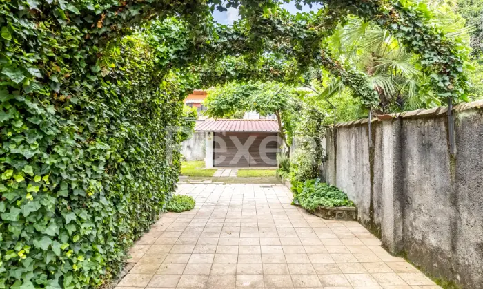 Rexer-Ghemme-Spaziosa-casa-indipendente-a-Ghemme-GIARDINO