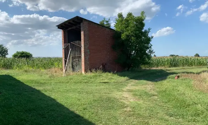 Rexer-San-Salvatore-Monferrato-Immobile-da-ristrutturare-di-mq-con-possibilit-di-ettari-di-terreno-ALTRO