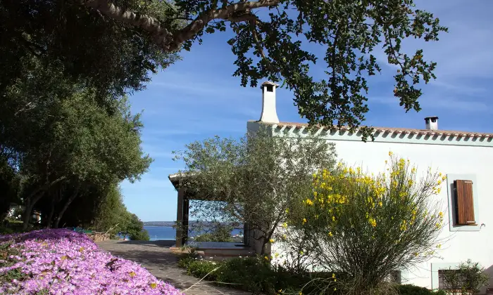 Rexer-Carloforte-Villa-da-sogno-Arcipelago-del-Sulcis-GIARDINO