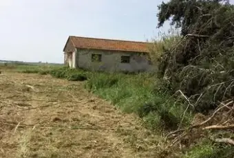 Rexer-Capalbio-Terreno-con-progetto-approvato-in-vendita-a-Capalbio-ALTRO