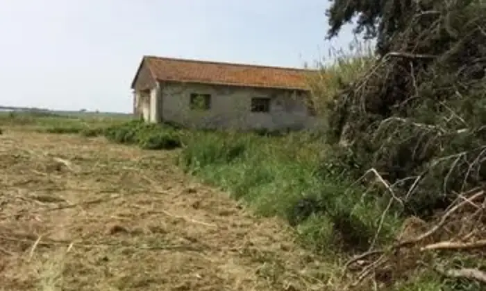 Rexer-Capalbio-Terreno-con-progetto-approvato-in-vendita-a-Capalbio-ALTRO