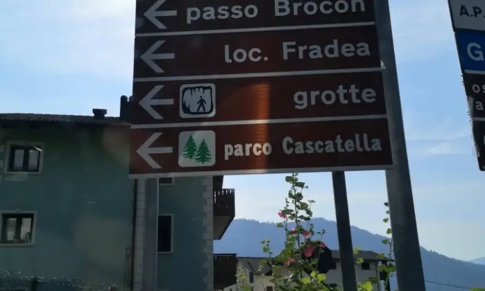 Rexer-Grigno-Un-edificio-da-ristrutturare-un-rudere-e-terreni-Altro