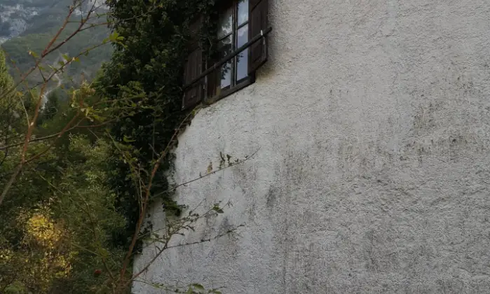 Rexer-Grigno-Un-edificio-da-ristrutturare-un-rudere-e-terreni-Altro